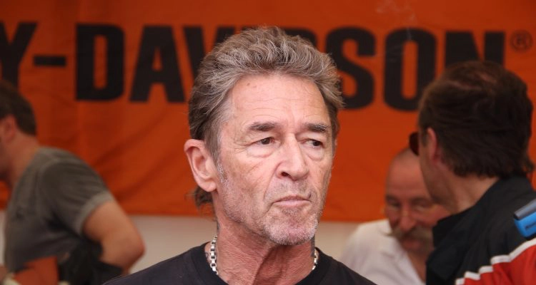 Peter Maffay Vermögen