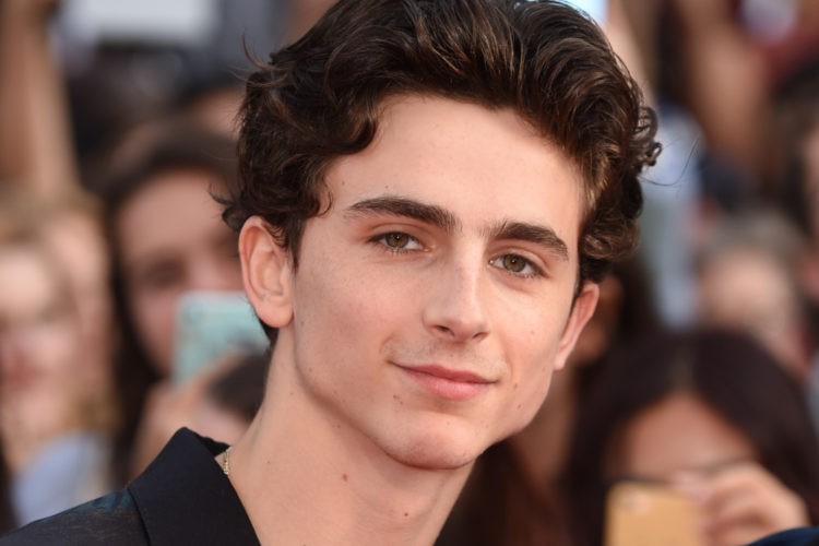 Timothee Chalamet Vermögen