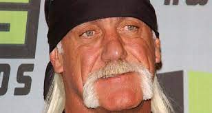 Vermögen von Hulk Hogan