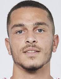 Arijon Ibrahimovic Wikipedia