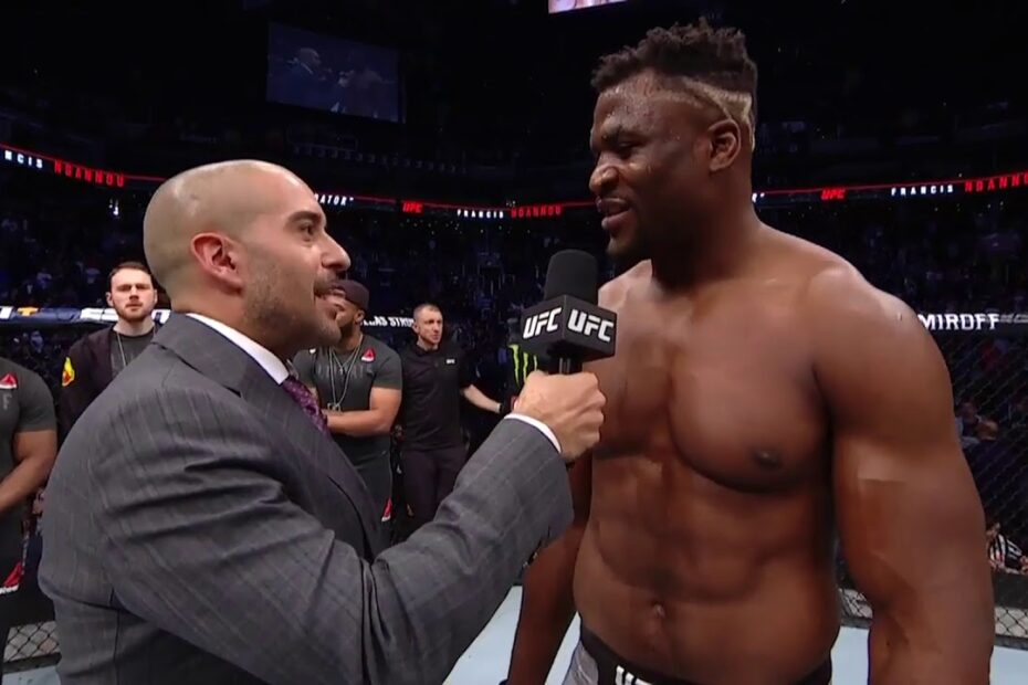 Francis Ngannou Vermögen