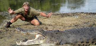 "Crocodile Hunter" Steve Irwin Tod