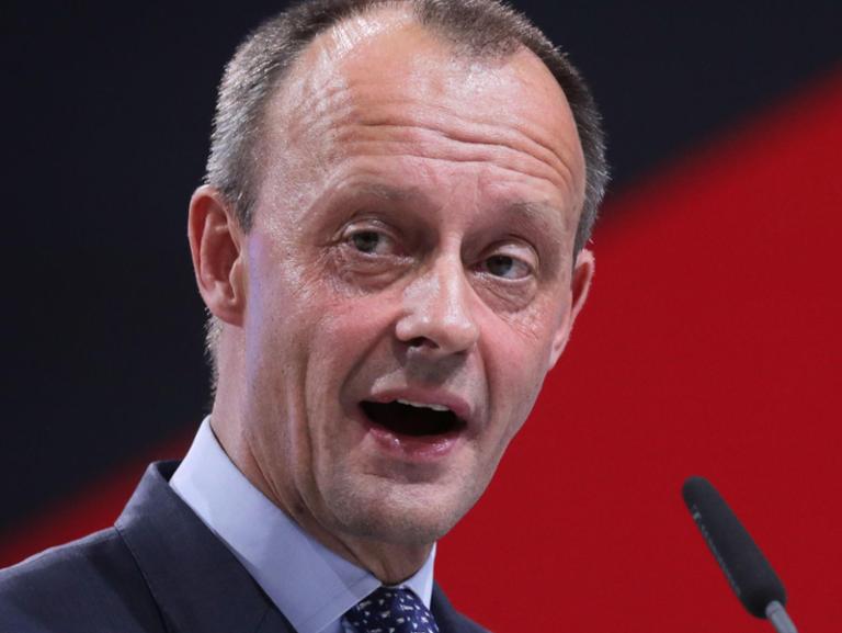 Friedrich Merz Vermögen