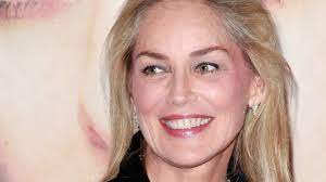 Sharon Stone Vermögen